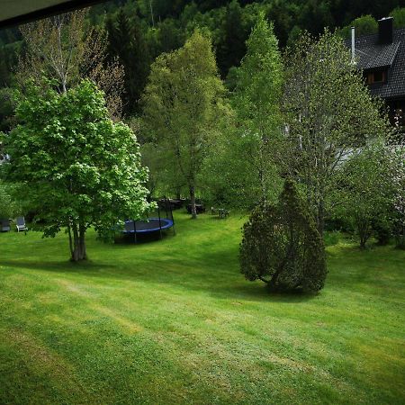 B1 Albmatte-Fewo Sauna, Hallenbad Aussenbecken Massagen Nebenan Menzenschwand-Hinterdorf المظهر الخارجي الصورة