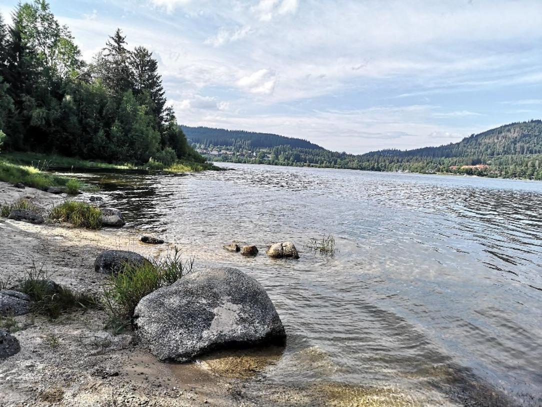 B1 Albmatte-Fewo Sauna, Hallenbad Aussenbecken Massagen Nebenan Menzenschwand-Hinterdorf المظهر الخارجي الصورة