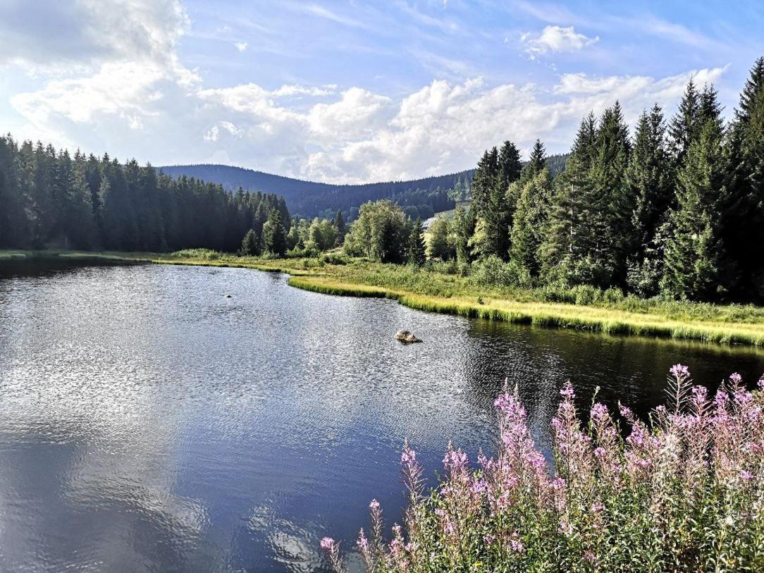 B1 Albmatte-Fewo Sauna, Hallenbad Aussenbecken Massagen Nebenan Menzenschwand-Hinterdorf المظهر الخارجي الصورة