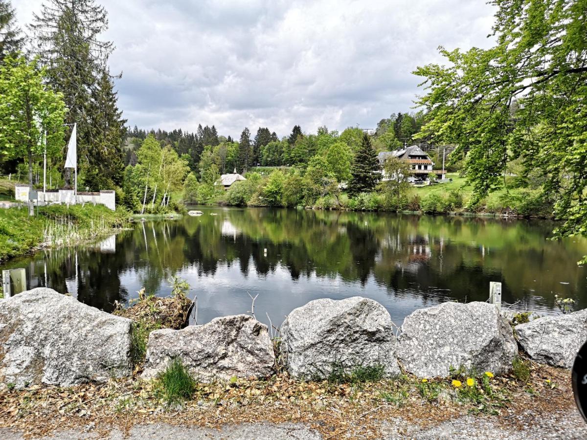 B1 Albmatte-Fewo Sauna, Hallenbad Aussenbecken Massagen Nebenan Menzenschwand-Hinterdorf المظهر الخارجي الصورة