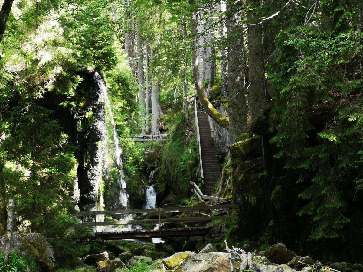 B1 Albmatte-Fewo Sauna, Hallenbad Aussenbecken Massagen Nebenan Menzenschwand-Hinterdorf المظهر الخارجي الصورة