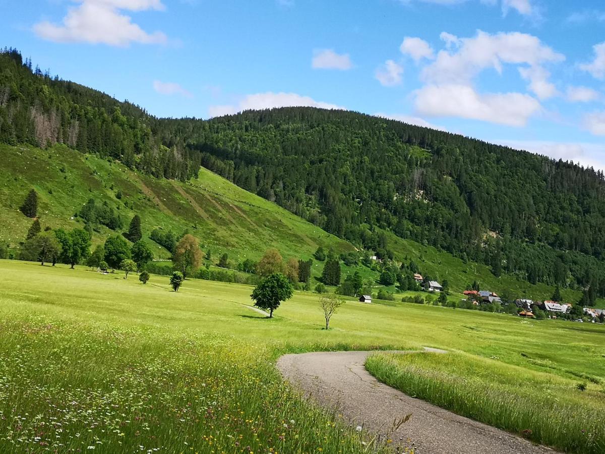 B1 Albmatte-Fewo Sauna, Hallenbad Aussenbecken Massagen Nebenan Menzenschwand-Hinterdorf المظهر الخارجي الصورة