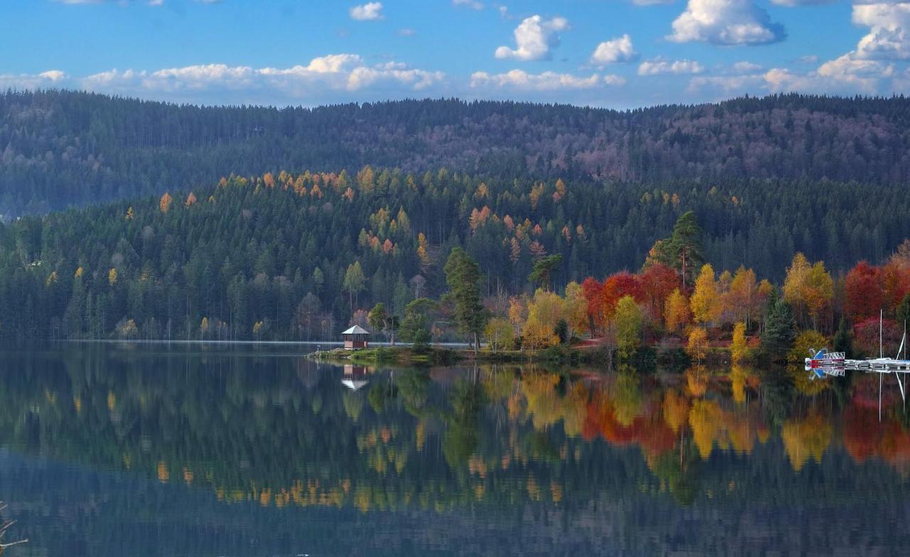 B1 Albmatte-Fewo Sauna, Hallenbad Aussenbecken Massagen Nebenan Menzenschwand-Hinterdorf المظهر الخارجي الصورة