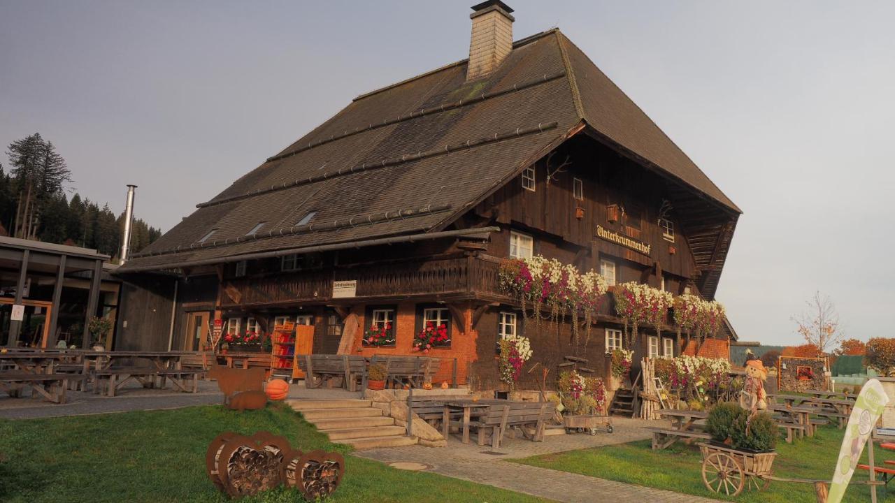 B1 Albmatte-Fewo Sauna, Hallenbad Aussenbecken Massagen Nebenan Menzenschwand-Hinterdorf المظهر الخارجي الصورة
