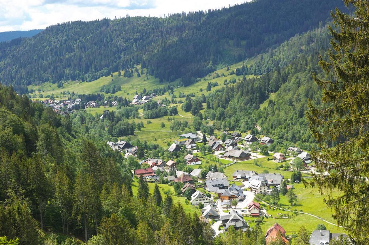 B1 Albmatte-Fewo Sauna, Hallenbad Aussenbecken Massagen Nebenan Menzenschwand-Hinterdorf المظهر الخارجي الصورة