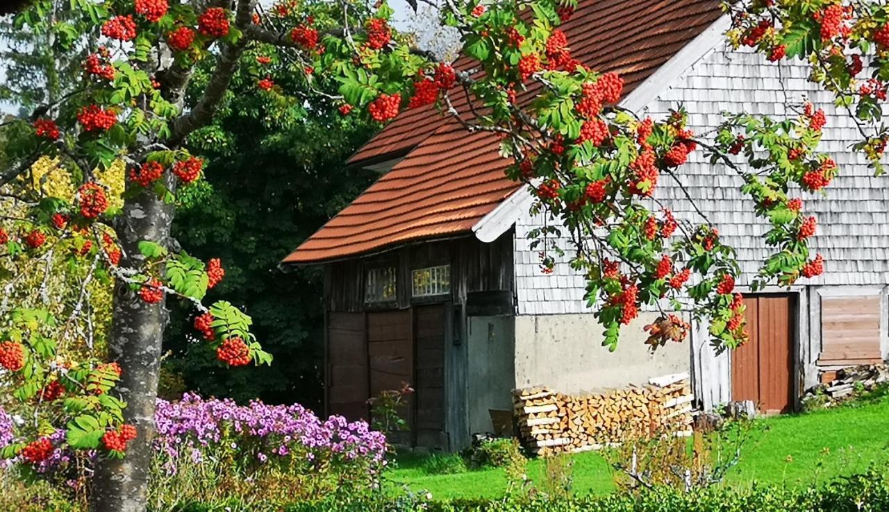 B1 Albmatte-Fewo Sauna, Hallenbad Aussenbecken Massagen Nebenan Menzenschwand-Hinterdorf المظهر الخارجي الصورة