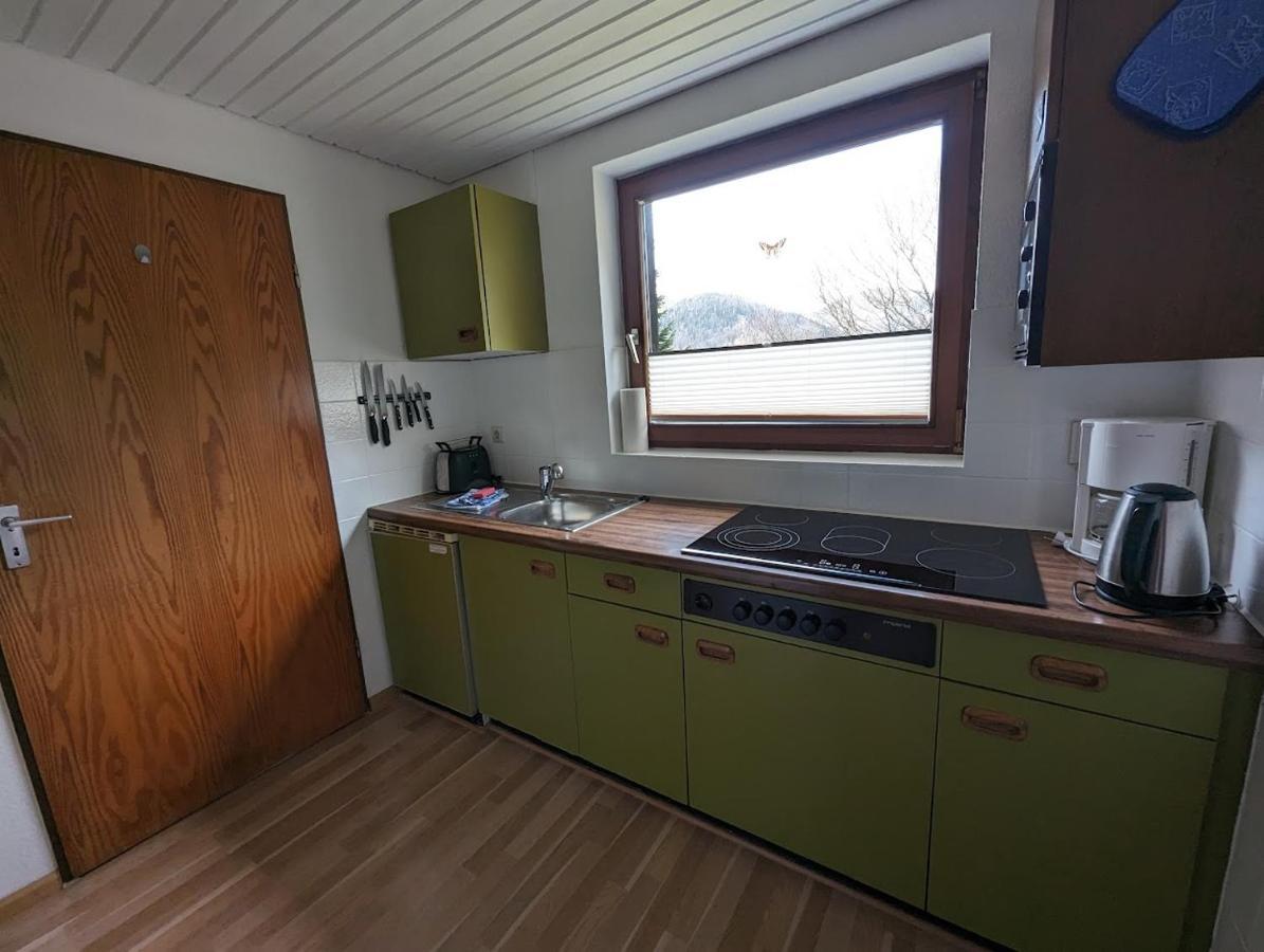 B1 Albmatte-Fewo Sauna, Hallenbad Aussenbecken Massagen Nebenan Menzenschwand-Hinterdorf المظهر الخارجي الصورة
