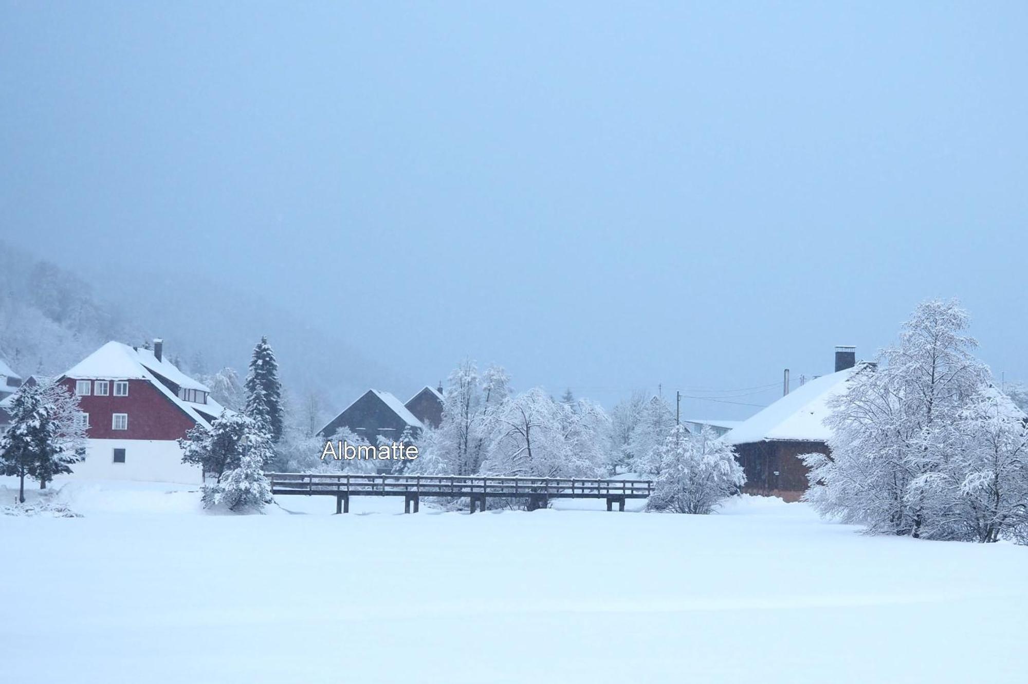 B1 Albmatte-Fewo Sauna, Hallenbad Aussenbecken Massagen Nebenan Menzenschwand-Hinterdorf المظهر الخارجي الصورة