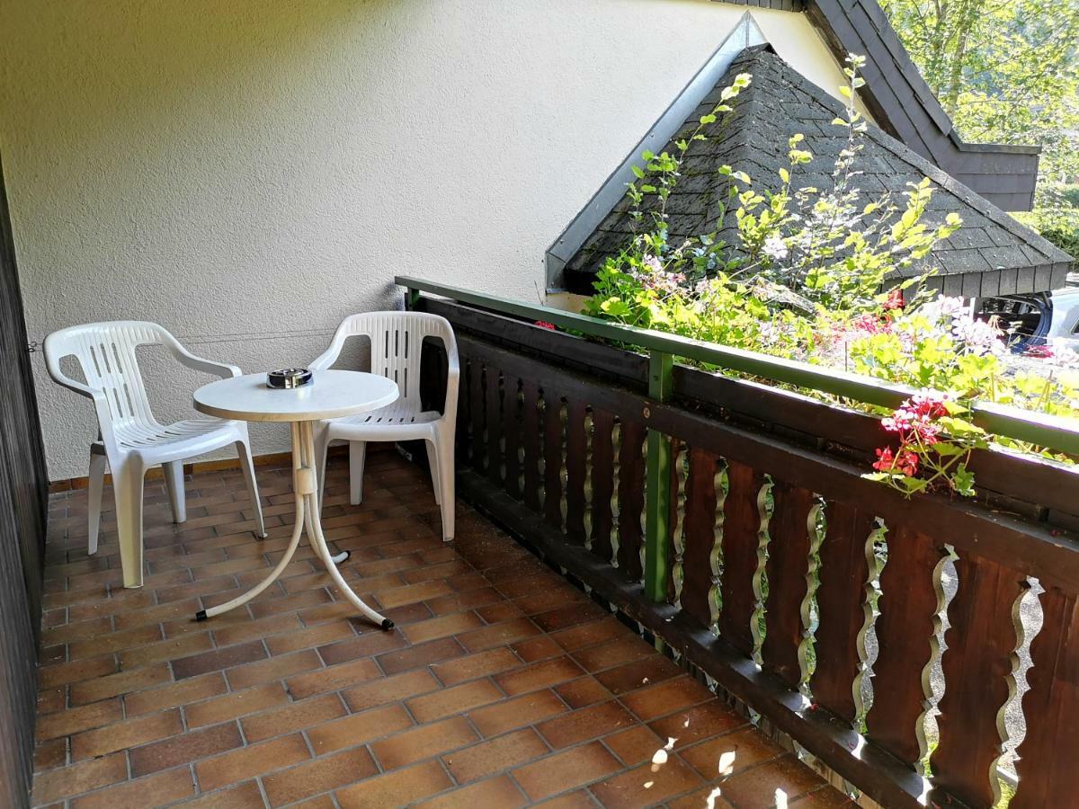 B1 Albmatte-Fewo Sauna, Hallenbad Aussenbecken Massagen Nebenan Menzenschwand-Hinterdorf المظهر الخارجي الصورة