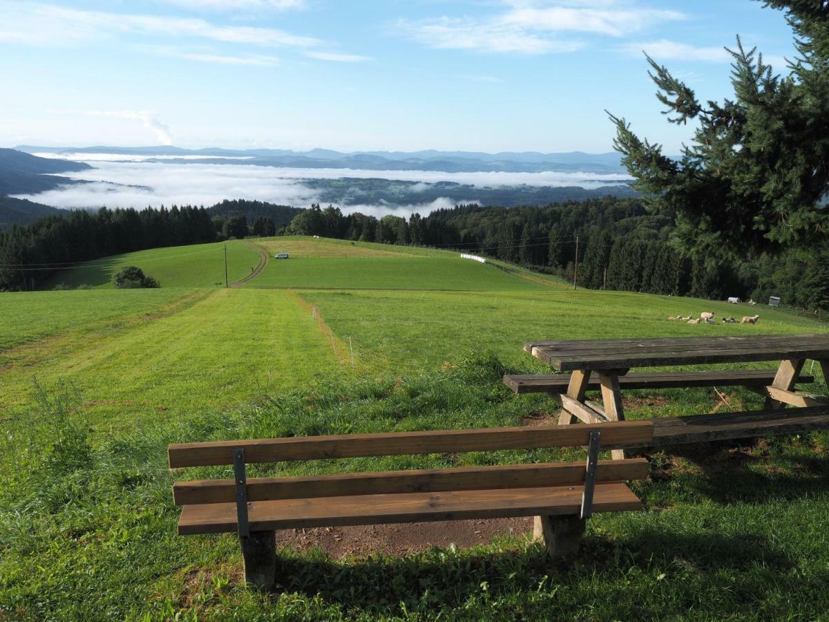 B1 Albmatte-Fewo Sauna, Hallenbad Aussenbecken Massagen Nebenan Menzenschwand-Hinterdorf المظهر الخارجي الصورة