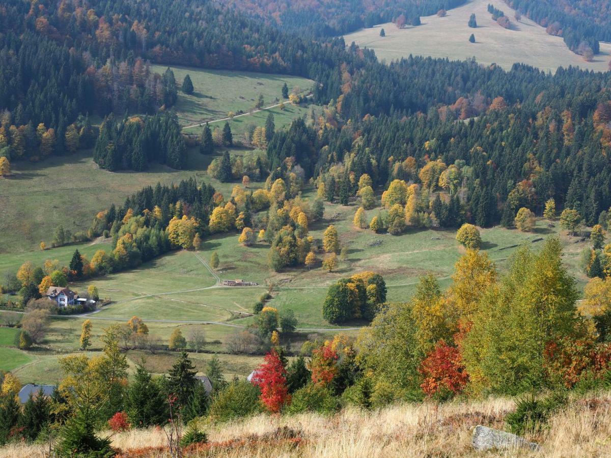 B1 Albmatte-Fewo Sauna, Hallenbad Aussenbecken Massagen Nebenan Menzenschwand-Hinterdorf المظهر الخارجي الصورة