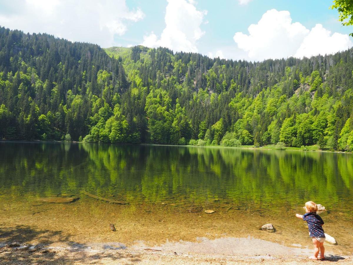 B1 Albmatte-Fewo Sauna, Hallenbad Aussenbecken Massagen Nebenan Menzenschwand-Hinterdorf المظهر الخارجي الصورة