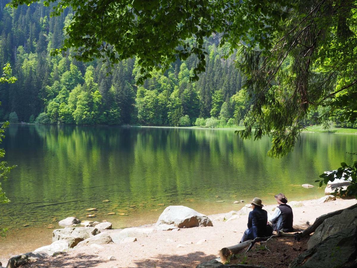 B1 Albmatte-Fewo Sauna, Hallenbad Aussenbecken Massagen Nebenan Menzenschwand-Hinterdorf المظهر الخارجي الصورة