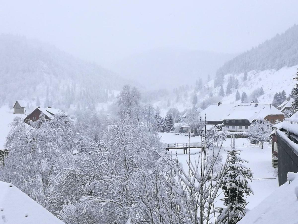 B1 Albmatte-Fewo Sauna, Hallenbad Aussenbecken Massagen Nebenan Menzenschwand-Hinterdorf المظهر الخارجي الصورة