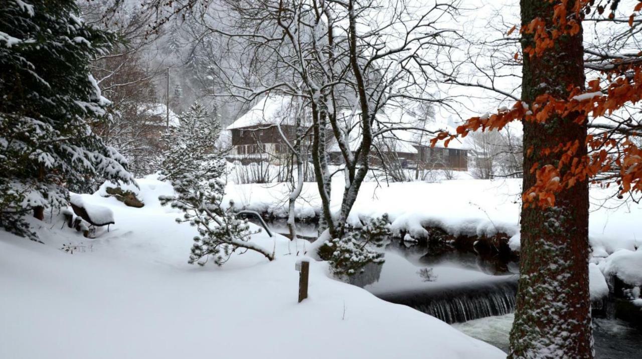 B1 Albmatte-Fewo Sauna, Hallenbad Aussenbecken Massagen Nebenan Menzenschwand-Hinterdorf المظهر الخارجي الصورة